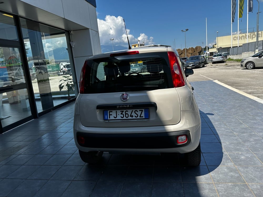 Fiat Panda usata a Frosinone (5)