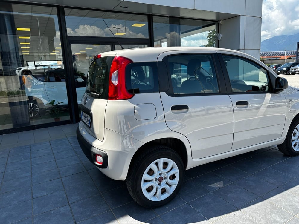 Fiat Panda usata a Frosinone (6)