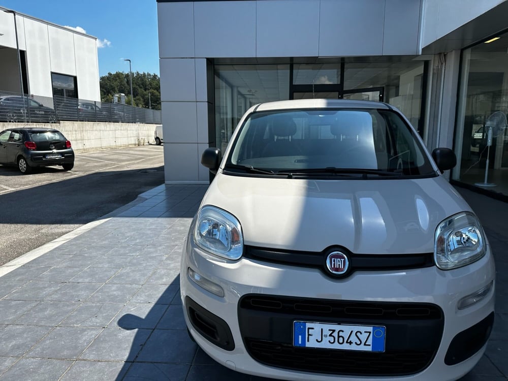 Fiat Panda usata a Frosinone (9)