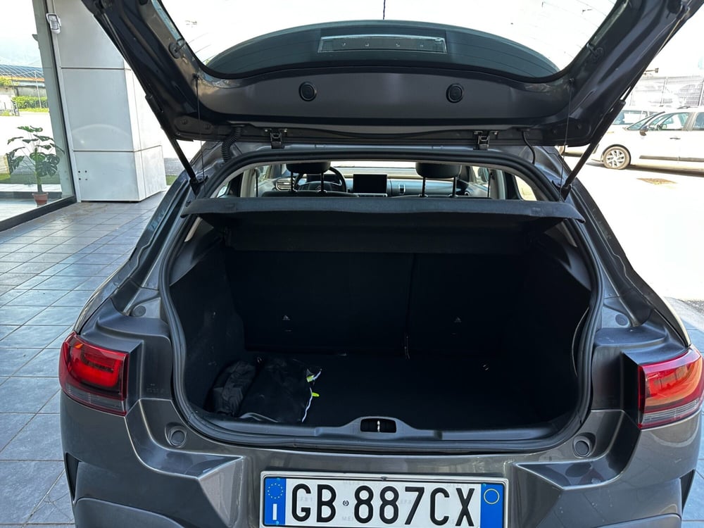 Citroen C4 Cactus usata a Frosinone (10)
