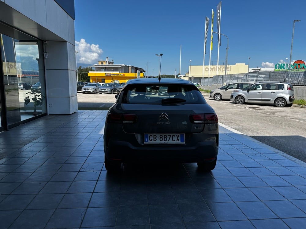 Citroen C4 Cactus usata a Frosinone (4)