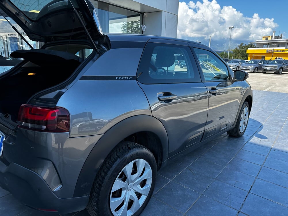 Citroen C4 Cactus usata a Frosinone (9)