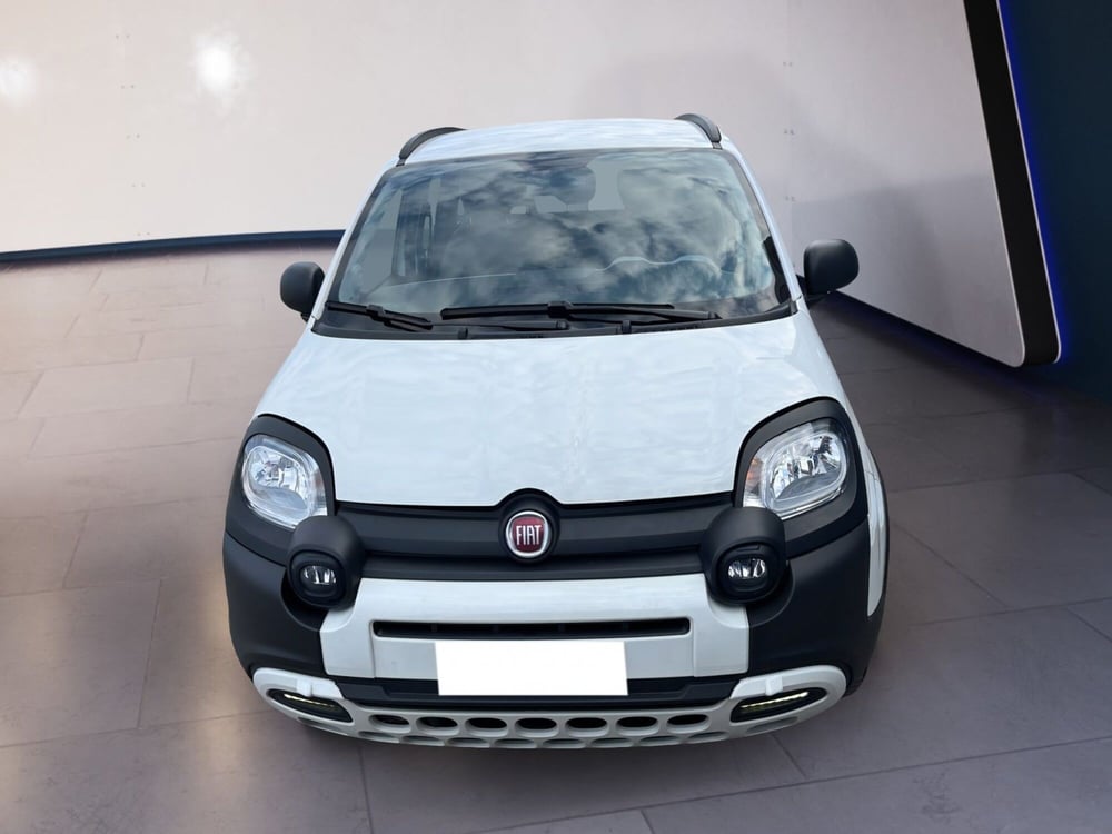 Fiat Panda Cross usata a Torino