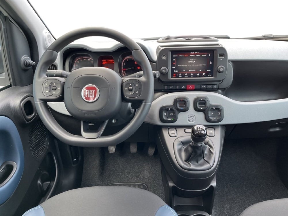 Fiat Panda Cross usata a Torino (11)