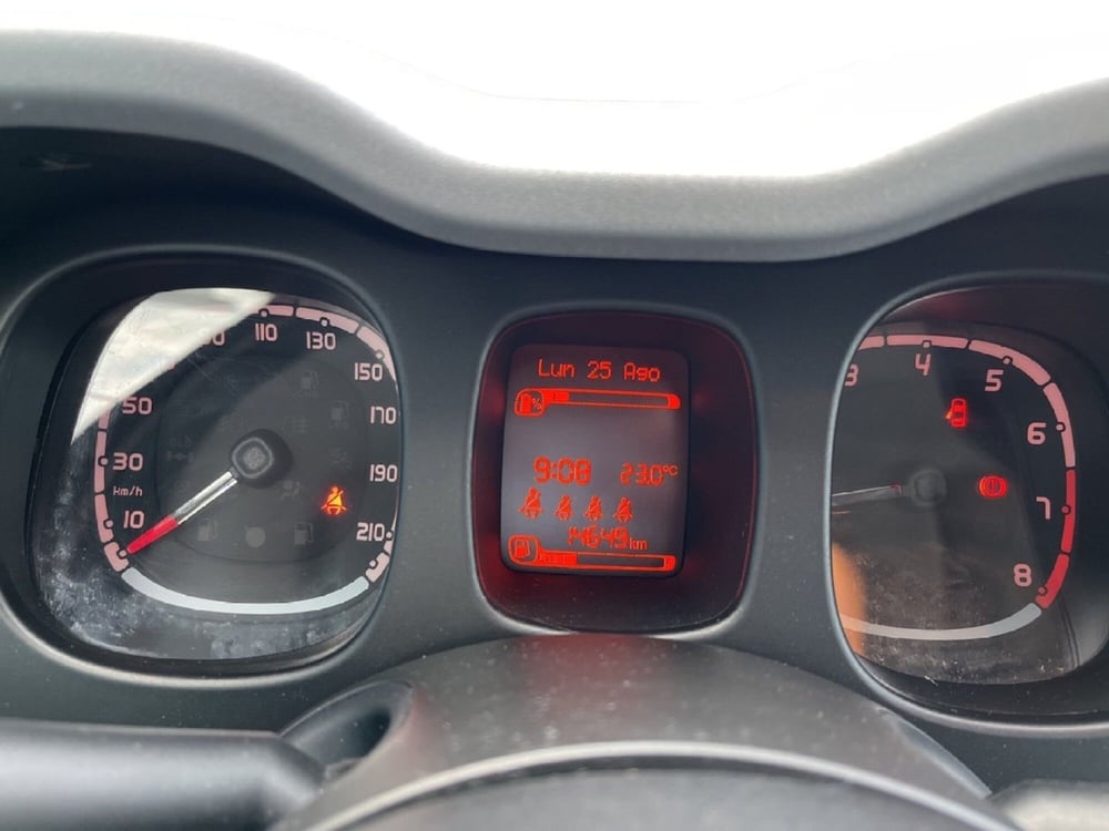 Fiat Panda Cross usata a Torino (13)