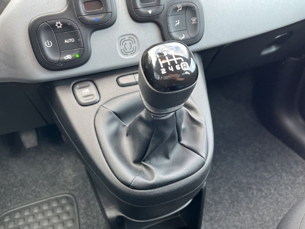 Fiat Panda Cross usata a Torino (15)