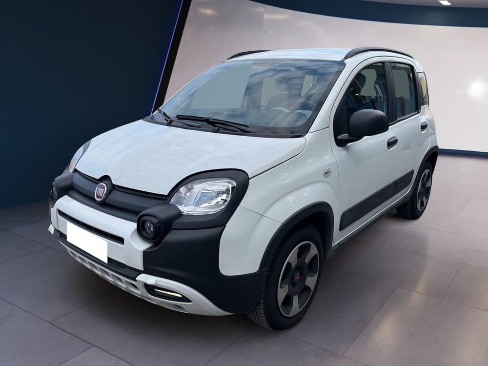 Fiat Panda Cross usata a Torino (2)