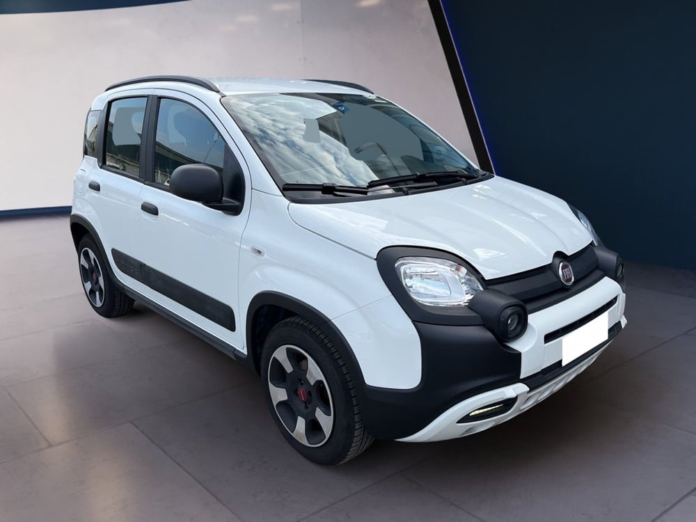 Fiat Panda Cross usata a Torino (3)