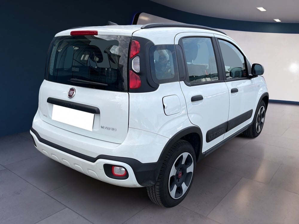 Fiat Panda Cross usata a Torino (4)