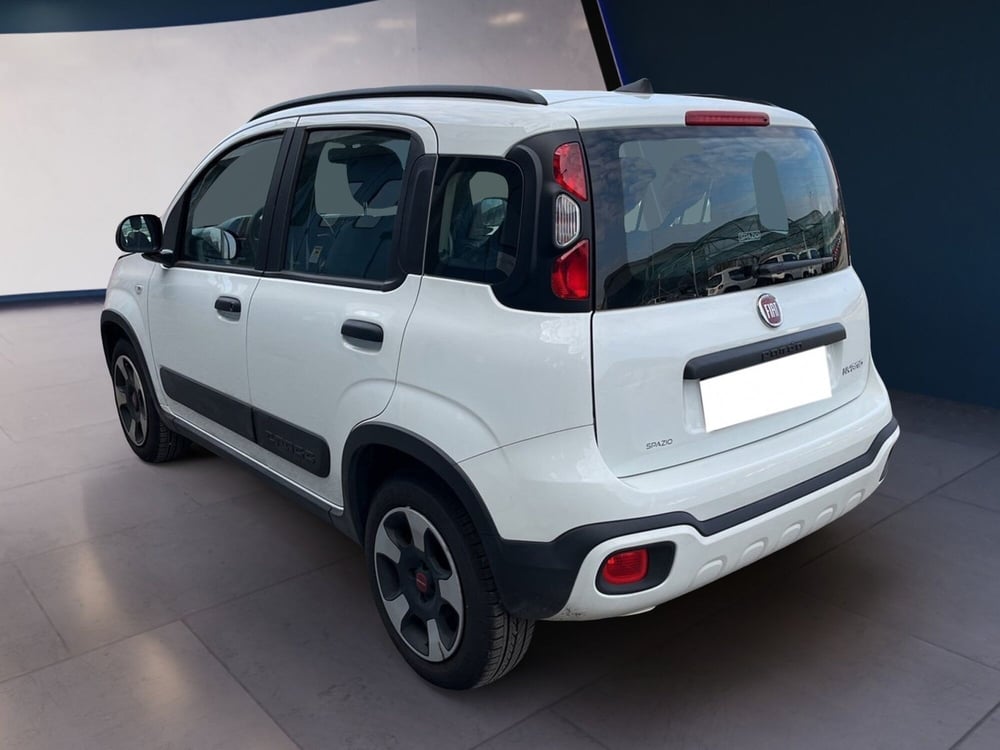 Fiat Panda Cross usata a Torino (5)