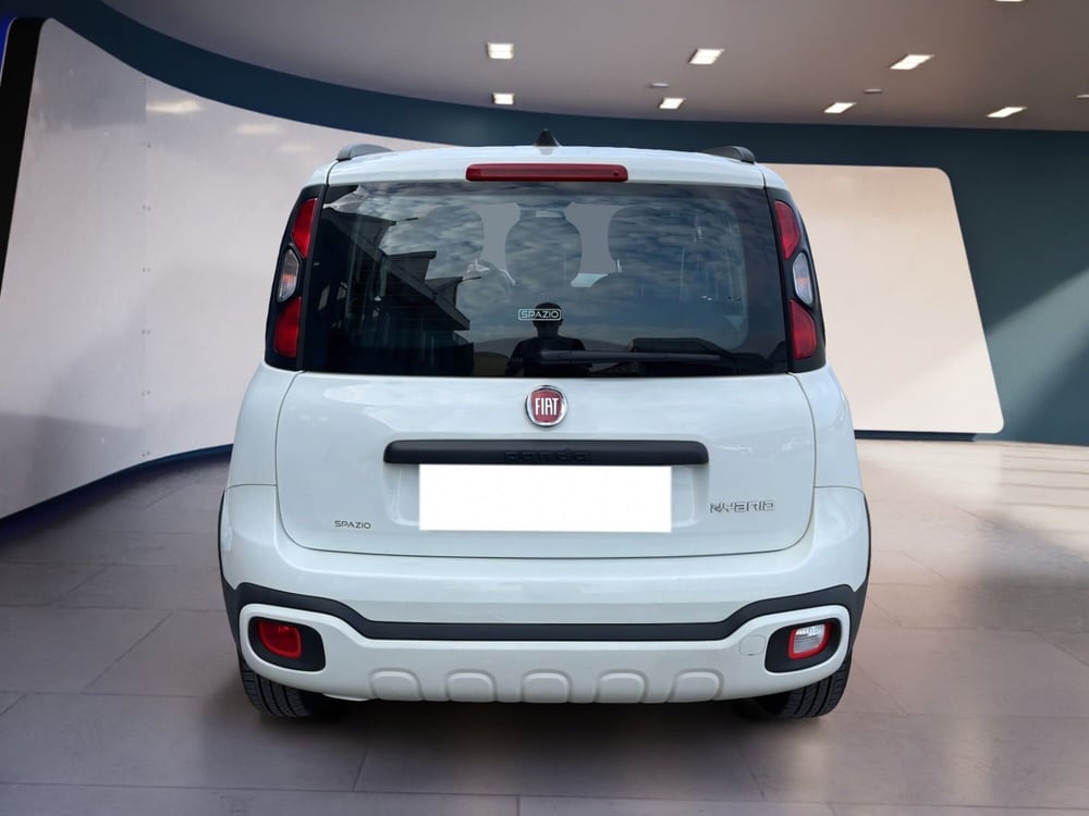 Fiat Panda Cross usata a Torino (6)