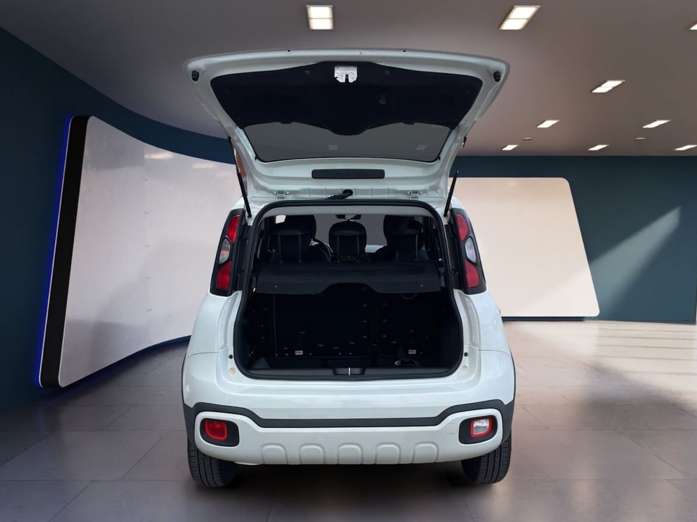Fiat Panda Cross usata a Torino (7)