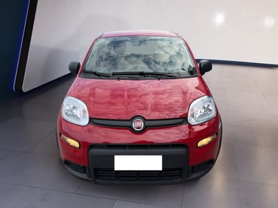 Fiat Panda 1.0 firefly hybrid s&amp;s 70cv 5p.ti del 2024 usata a Torino