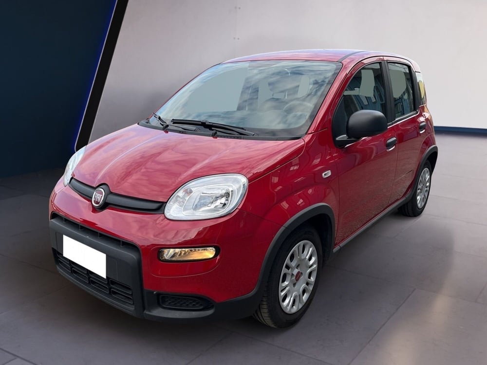 Fiat Panda usata a Torino (2)