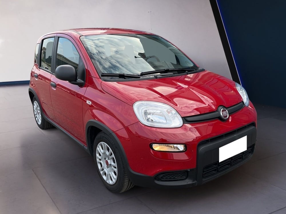 Fiat Panda usata a Torino (3)