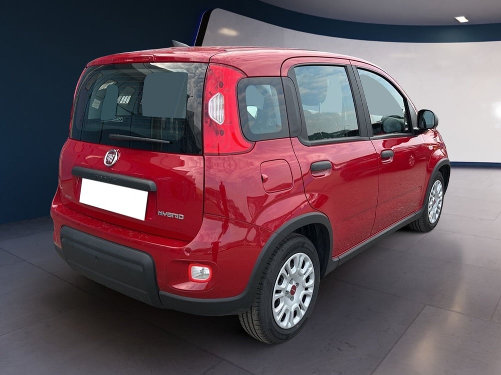 Fiat Panda usata a Torino (4)