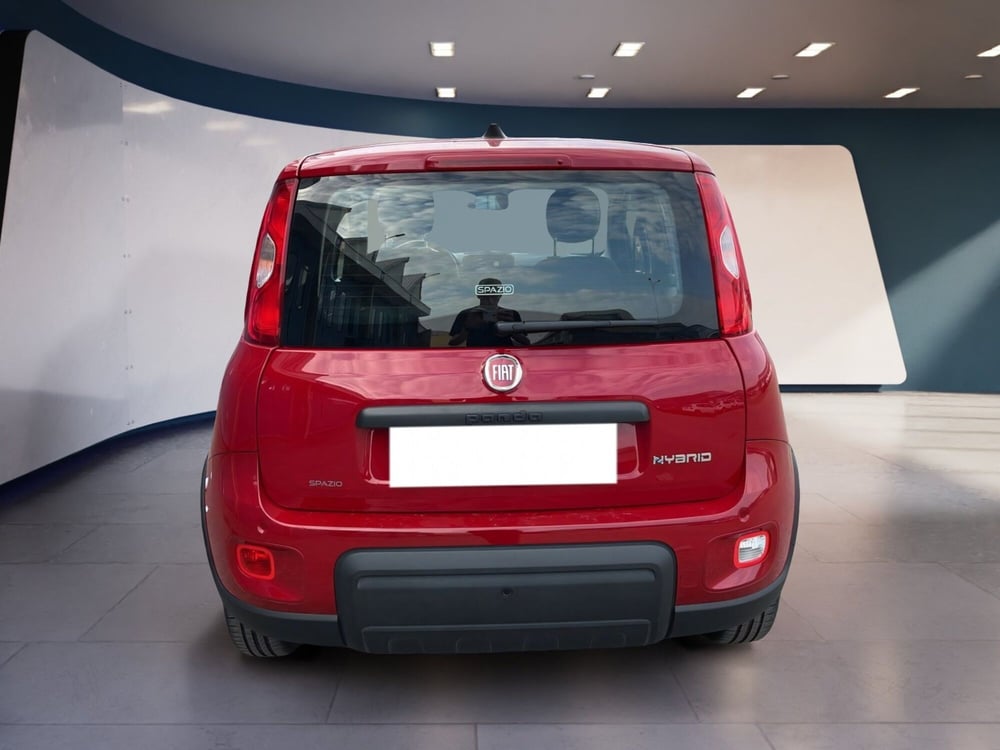 Fiat Panda usata a Torino (6)