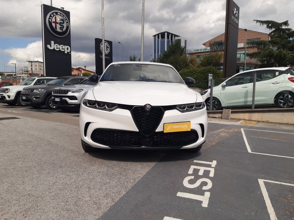 Alfa Romeo Tonale usata a Campobasso (5)