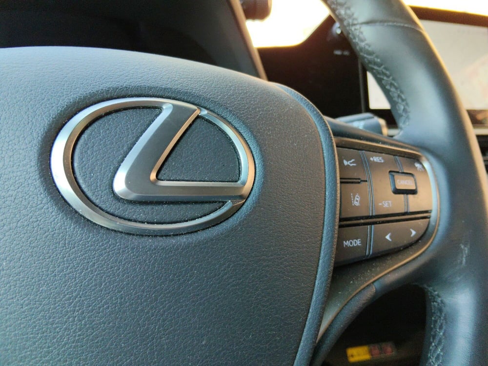 Lexus UX usata a Pescara (20)