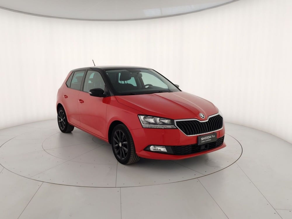 Skoda Fabia usata a Massa-Carrara (4)
