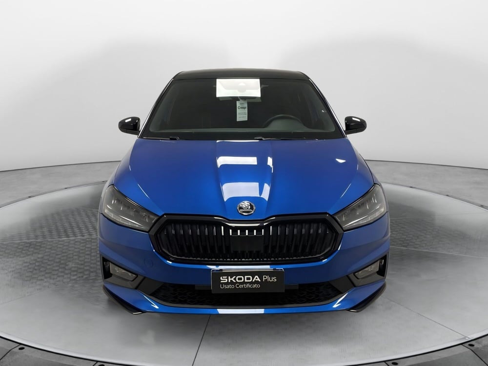 Skoda Fabia usata a Varese (2)
