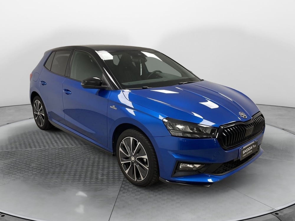 Skoda Fabia usata a Varese (3)
