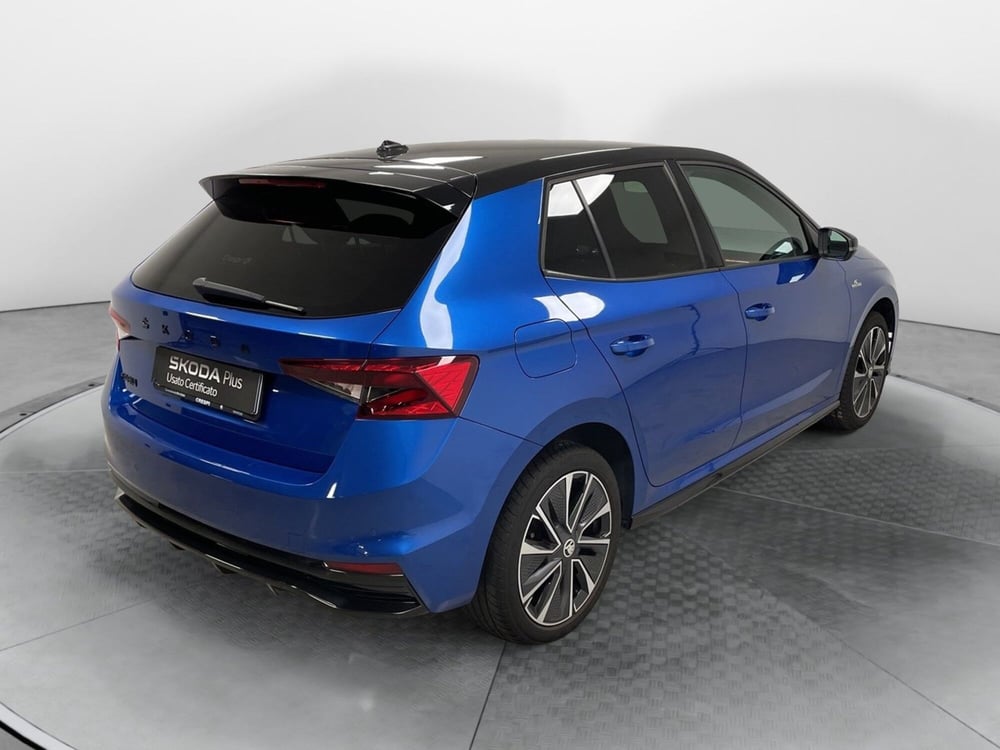 Skoda Fabia usata a Varese (6)