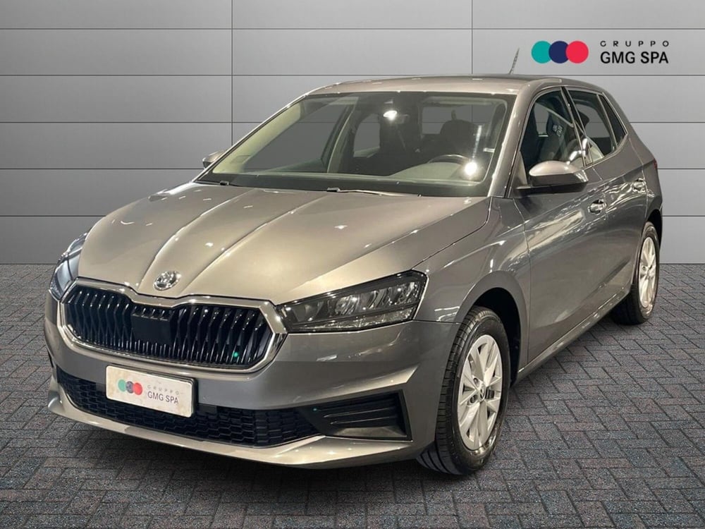 Skoda Fabia usata a Firenze