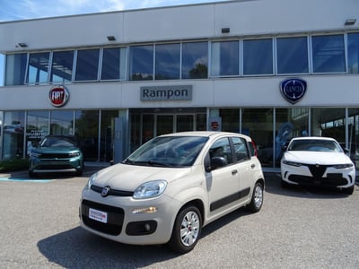 Fiat Panda 1.2 EasyPower Easy del 2016 usata a San Dona&#039; Di Piave