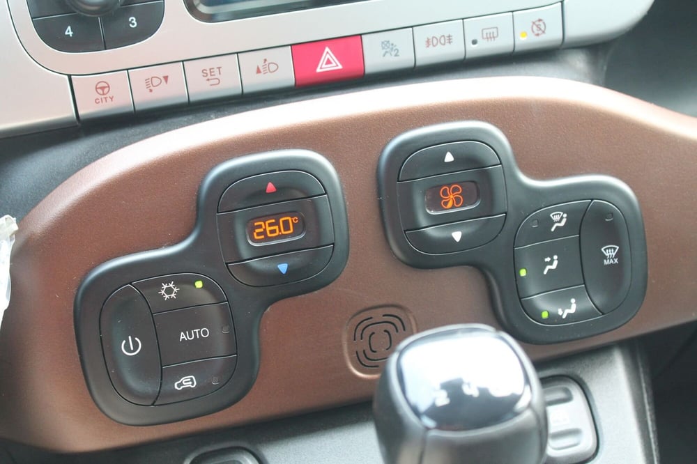 Fiat Panda Cross usata a Cuneo (11)
