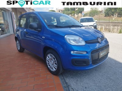 Fiat Panda 1.0 FireFly S&amp;S Hybrid City Cross nuova a Cortona