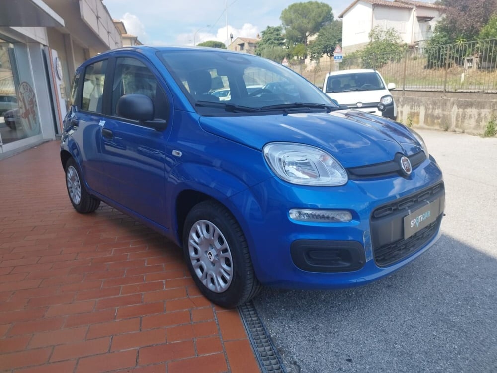 Fiat Panda nuova a Arezzo (2)