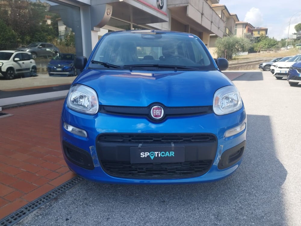 Fiat Panda nuova a Arezzo (3)