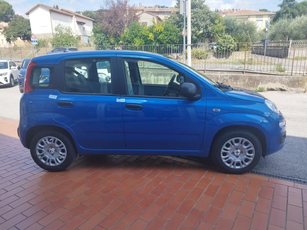 Fiat Panda nuova a Arezzo (5)