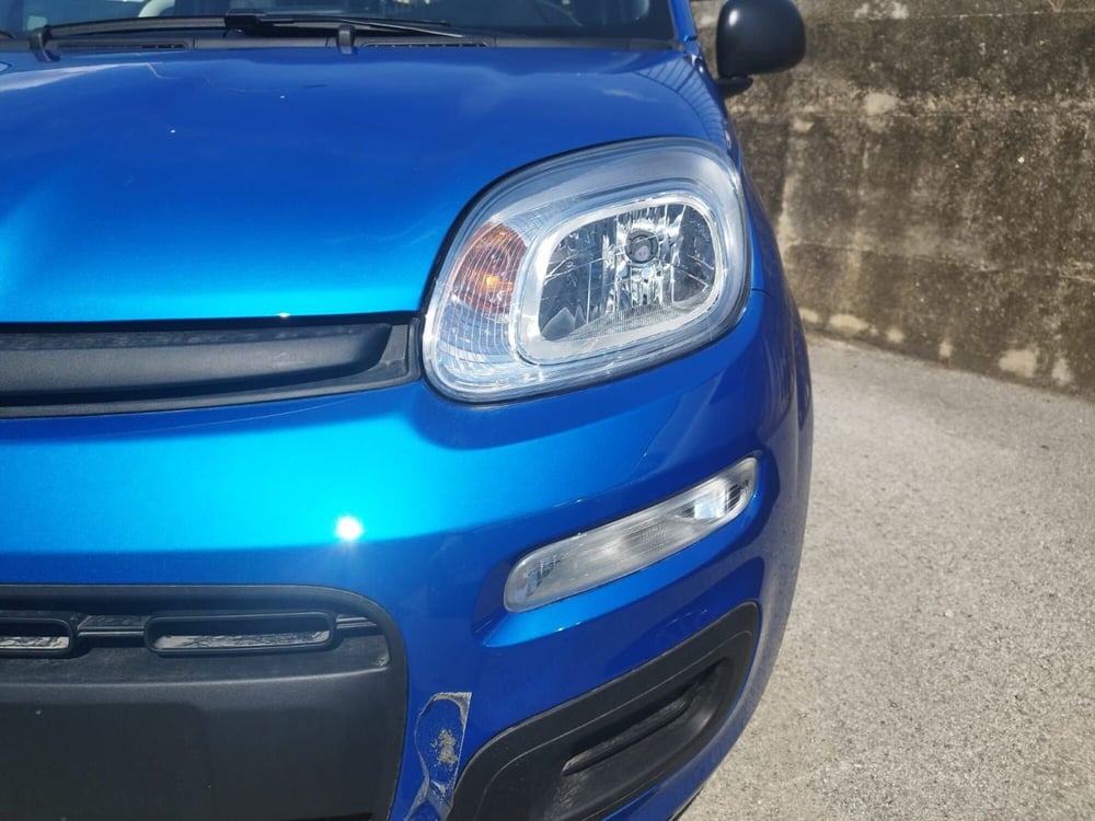 Fiat Panda nuova a Arezzo (6)