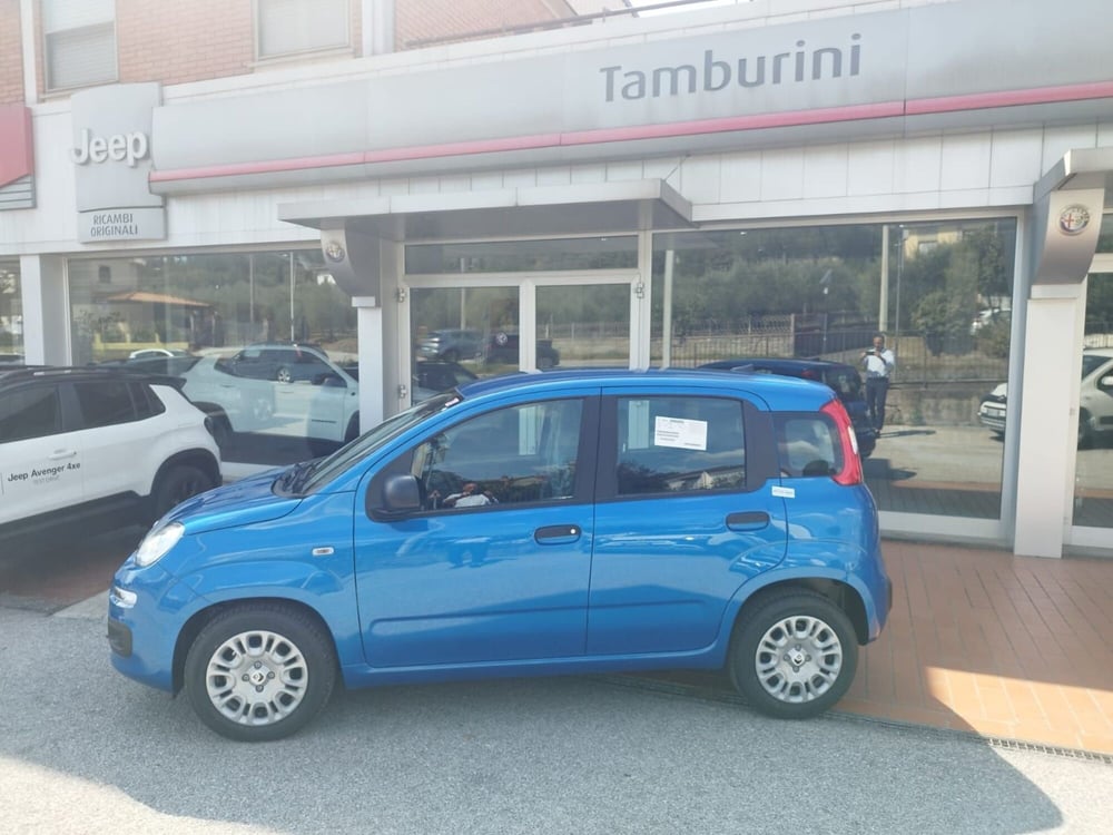 Fiat Panda nuova a Arezzo (7)