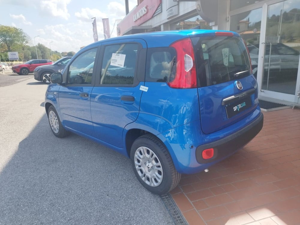 Fiat Panda nuova a Arezzo (8)