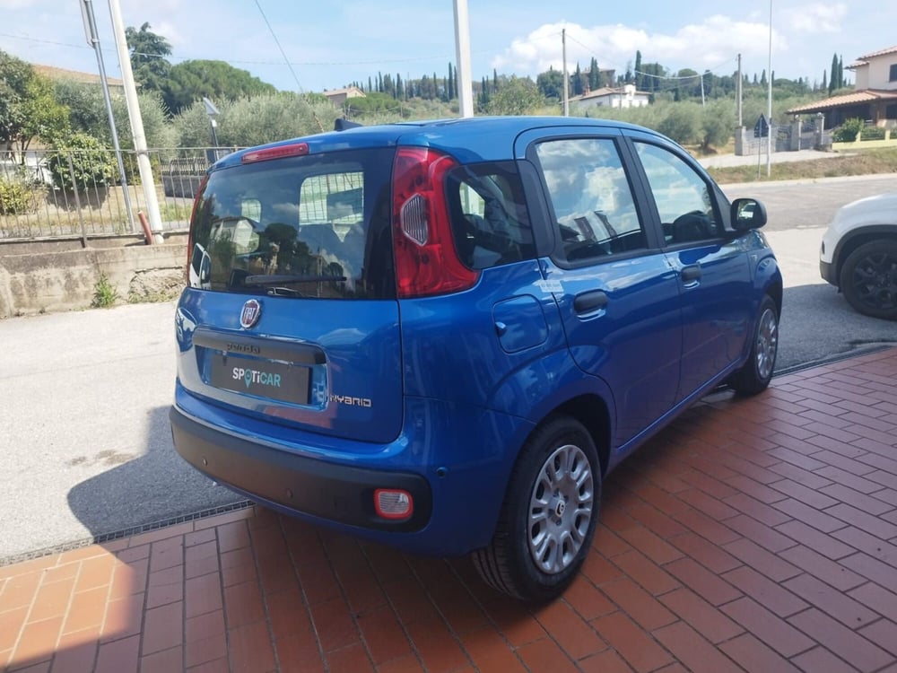 Fiat Panda nuova a Arezzo (9)