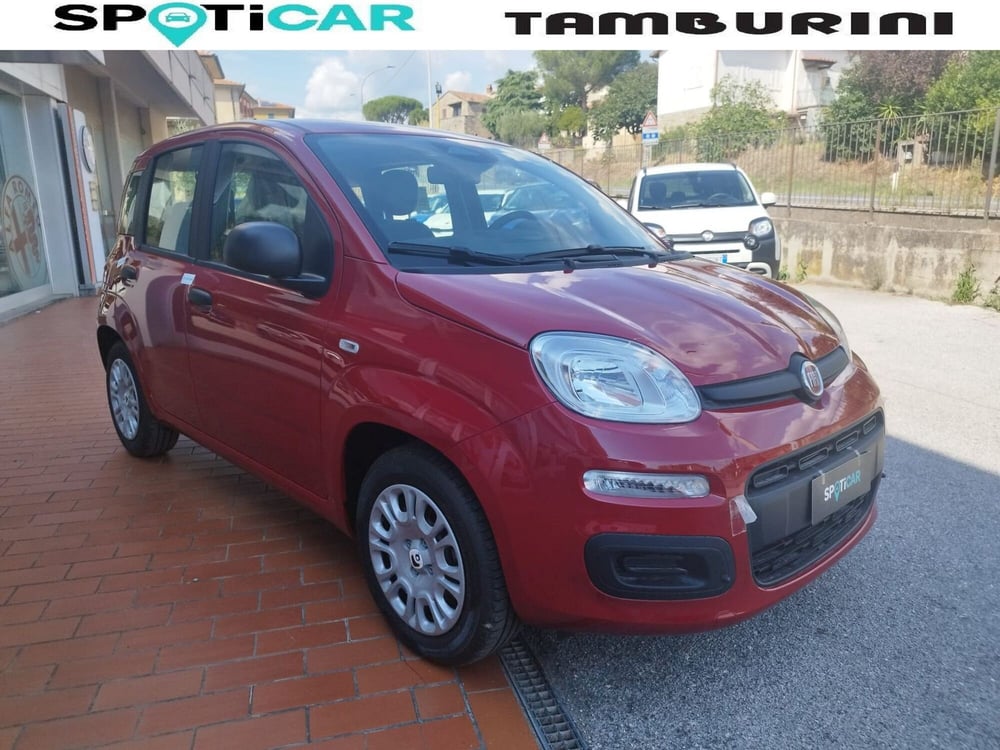 Fiat Panda nuova a Arezzo