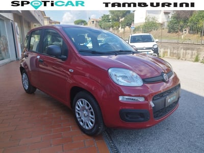 Fiat Panda 1.0 FireFly S&amp;S Hybrid City Cross nuova a Cortona