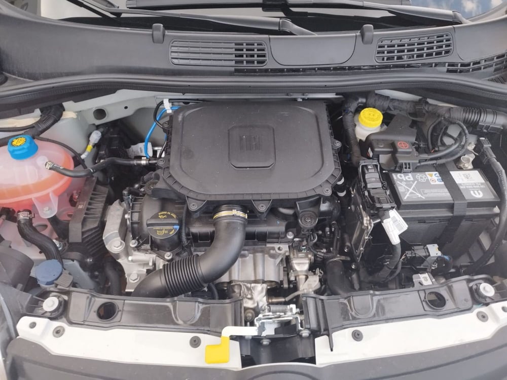 Fiat Panda nuova a Arezzo (10)