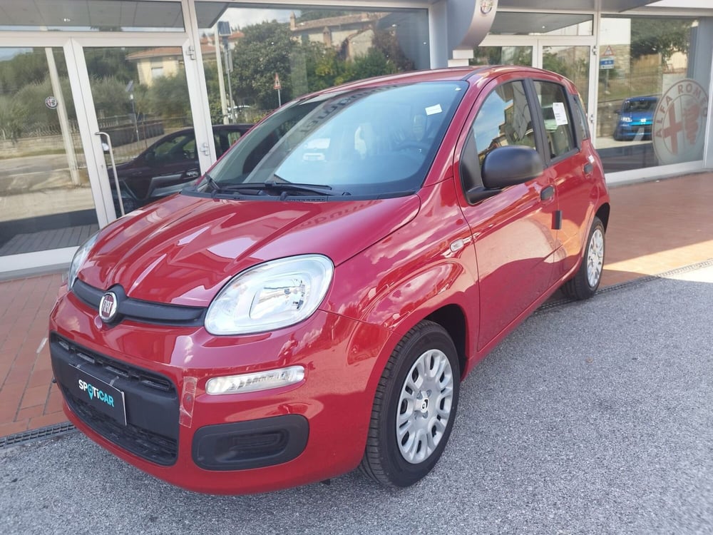 Fiat Panda nuova a Arezzo (2)