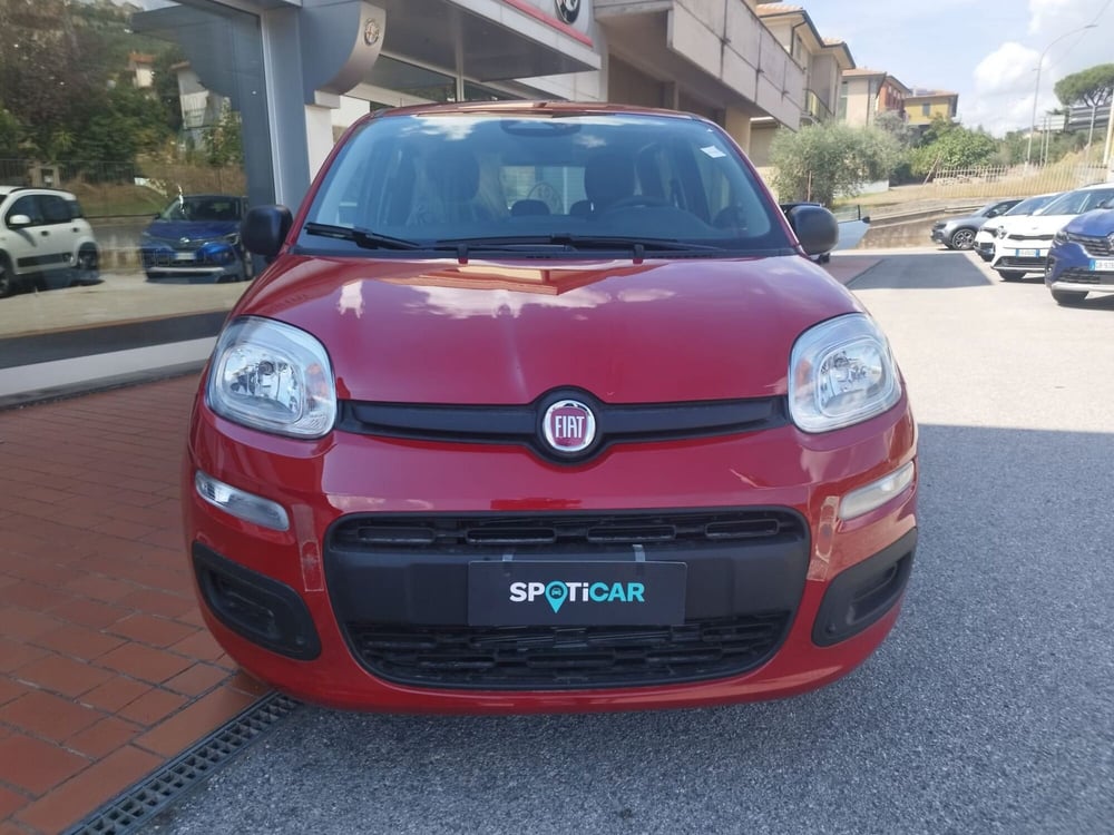 Fiat Panda nuova a Arezzo (3)