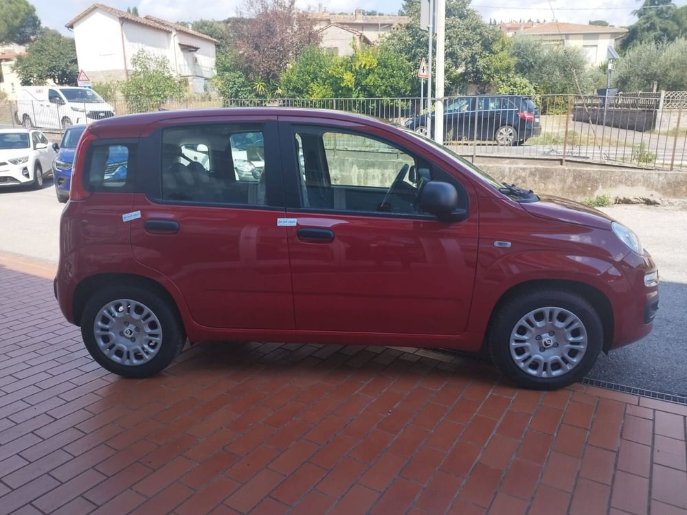 Fiat Panda nuova a Arezzo (4)