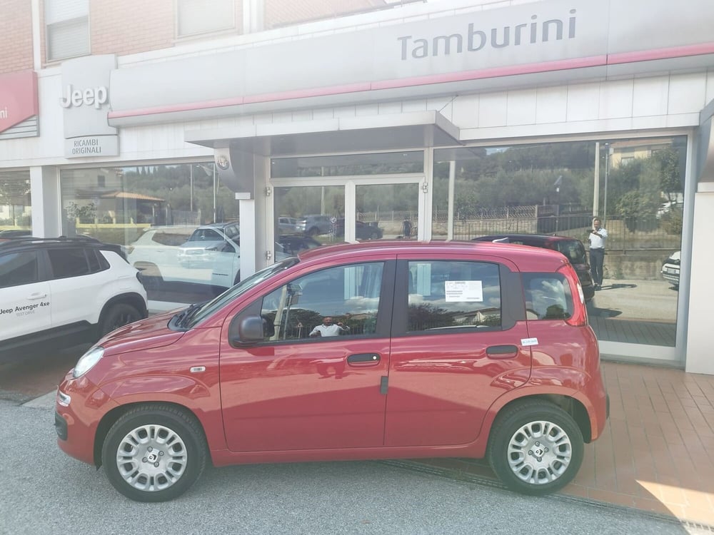 Fiat Panda nuova a Arezzo (5)