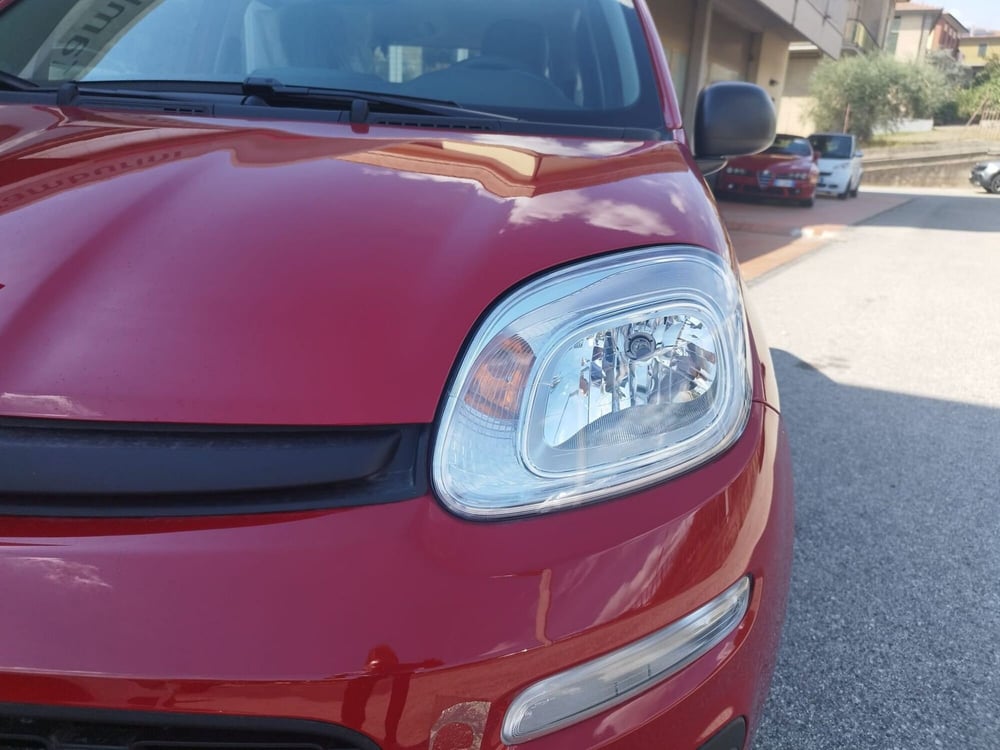 Fiat Panda nuova a Arezzo (6)