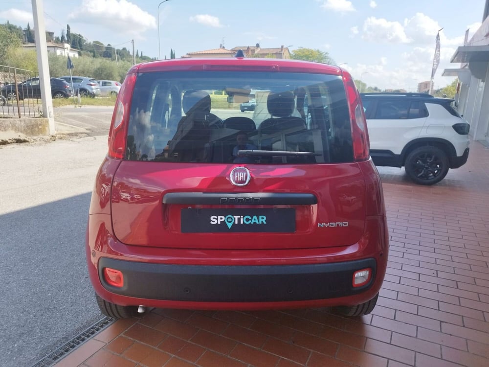 Fiat Panda nuova a Arezzo (8)