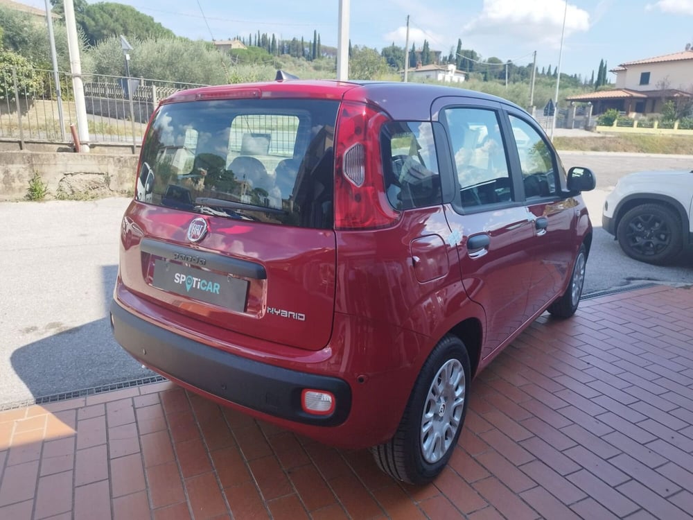 Fiat Panda nuova a Arezzo (9)