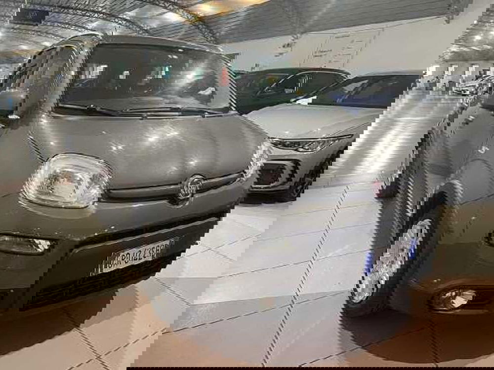 Fiat Panda Cross usata a Genova (4)