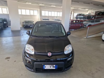 Fiat Panda 1.0 firefly hybrid s&amp;s 70cv 5p.ti del 2024 usata a Orvieto